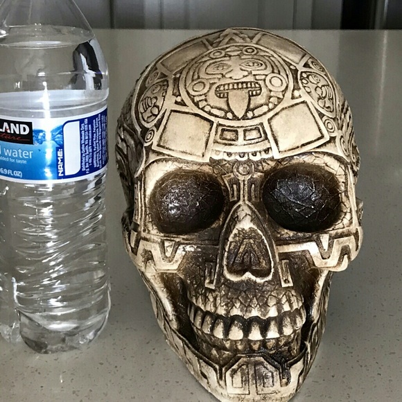 Cast skull - Picture 7 of 8